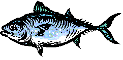 Picture of Tuna